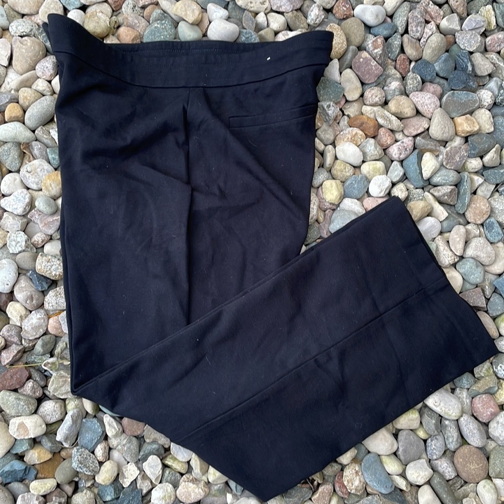 Chico’s Short Thick Stretch Dress Pants